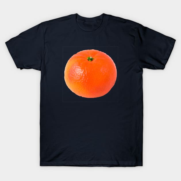 Laura's Clementine T-Shirt by paulusjart